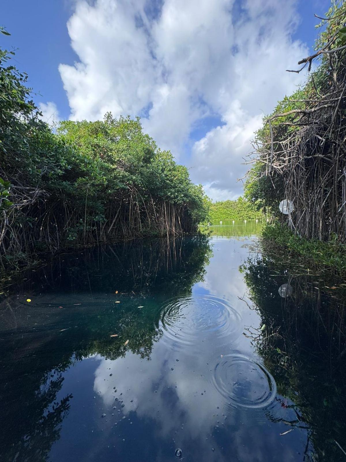 Cabanas Tulum - Aldea Mangle & Cenote Екстер'єр фото