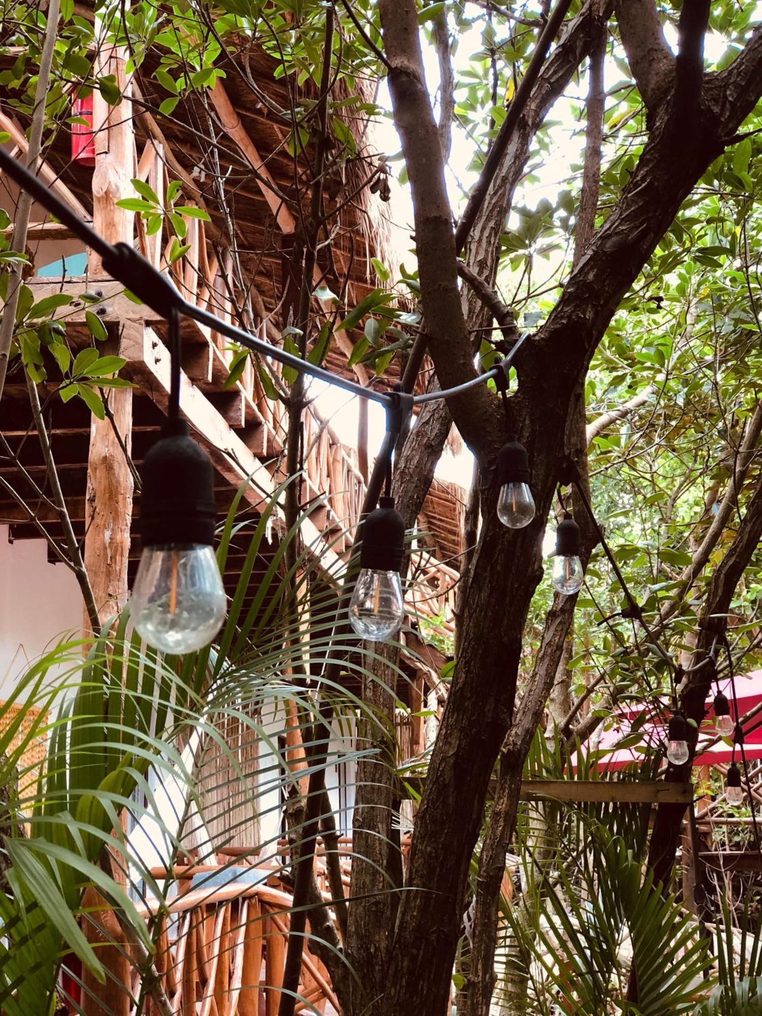 Cabanas Tulum - Aldea Mangle & Cenote Екстер'єр фото