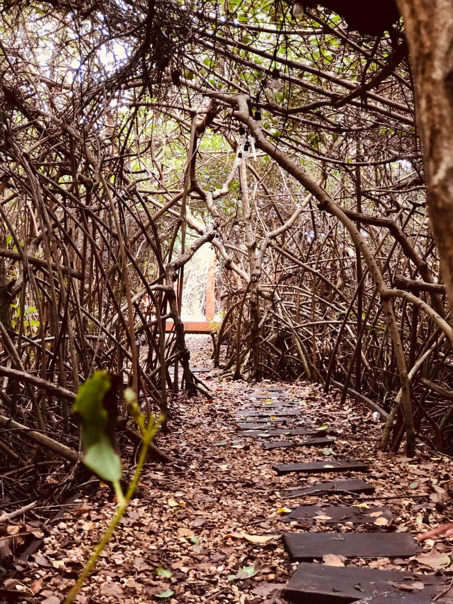 Cabanas Tulum - Aldea Mangle & Cenote Екстер'єр фото