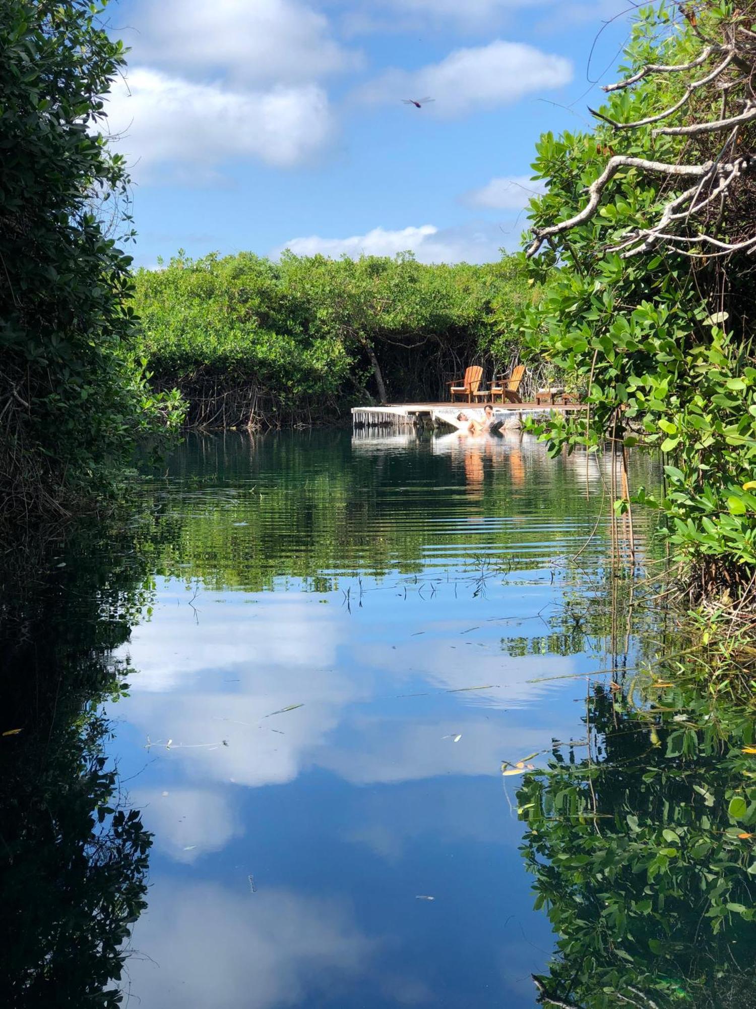 Cabanas Tulum - Aldea Mangle & Cenote Екстер'єр фото