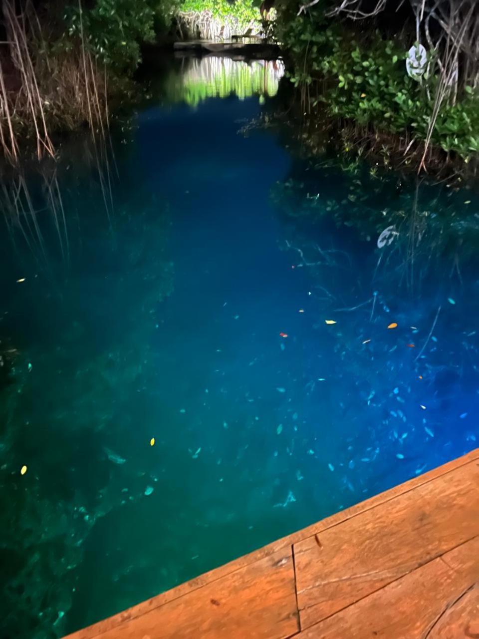 Cabanas Tulum - Aldea Mangle & Cenote Екстер'єр фото