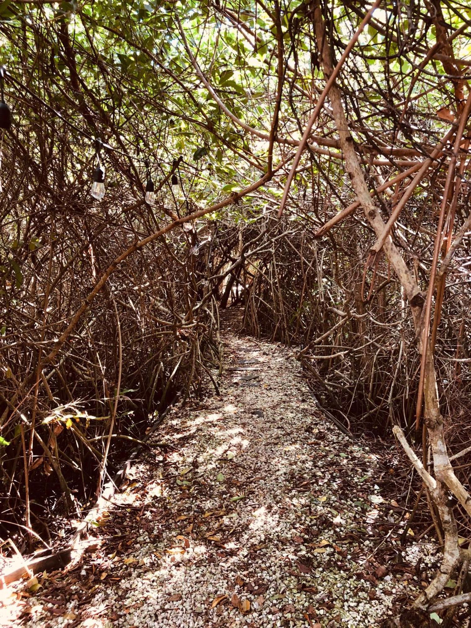 Cabanas Tulum - Aldea Mangle & Cenote Екстер'єр фото