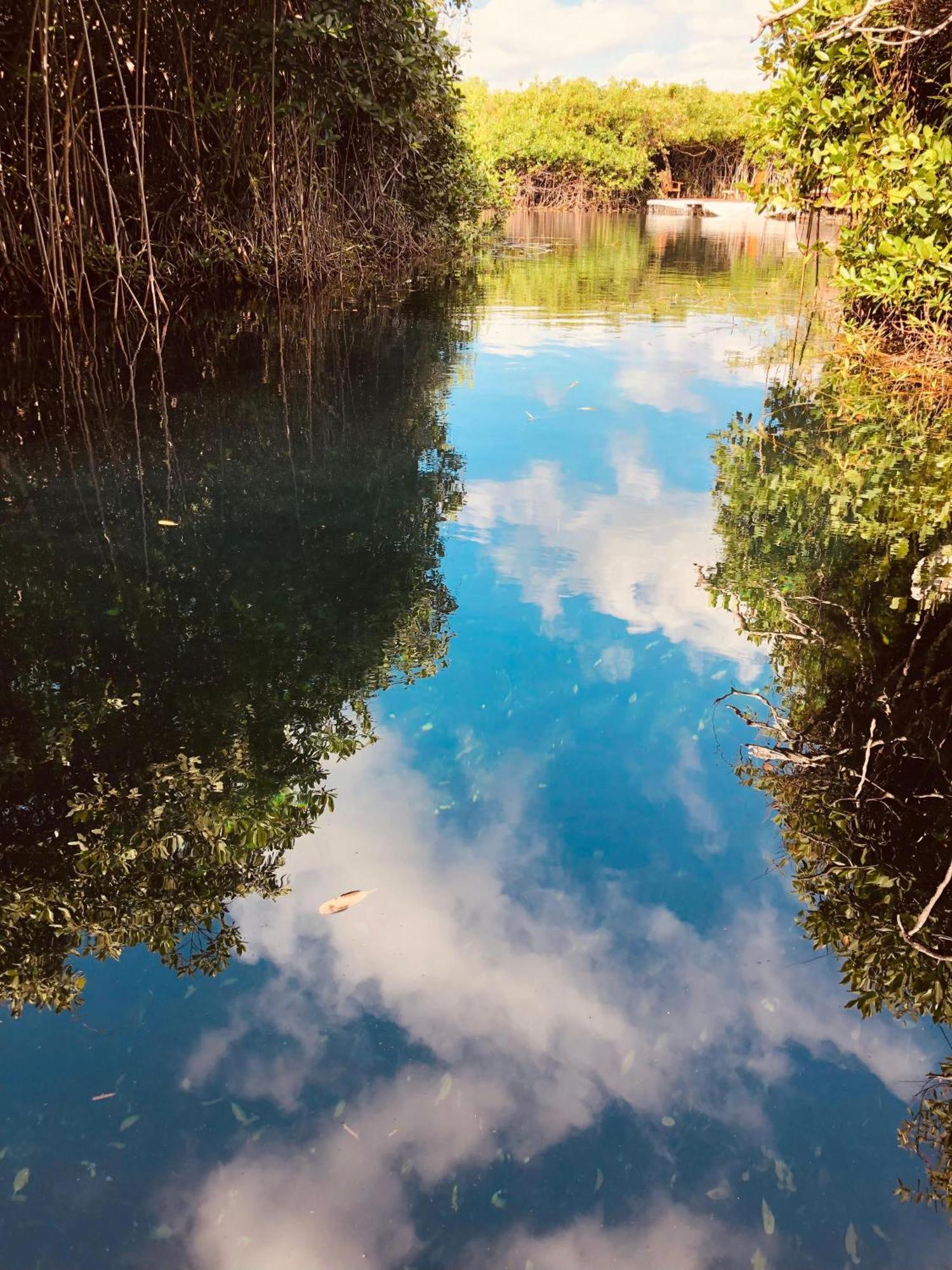 Cabanas Tulum - Aldea Mangle & Cenote Екстер'єр фото