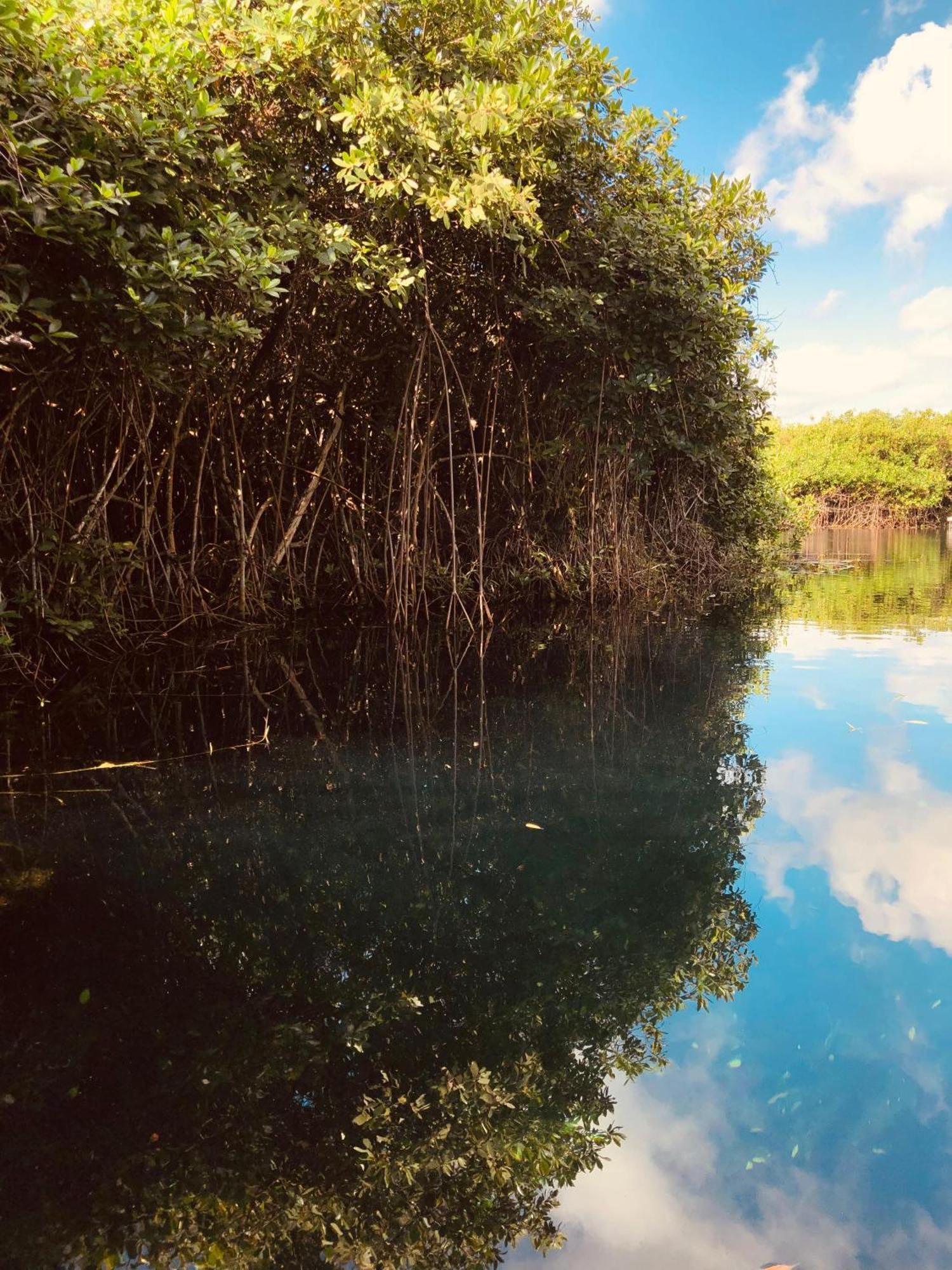 Cabanas Tulum - Aldea Mangle & Cenote Екстер'єр фото