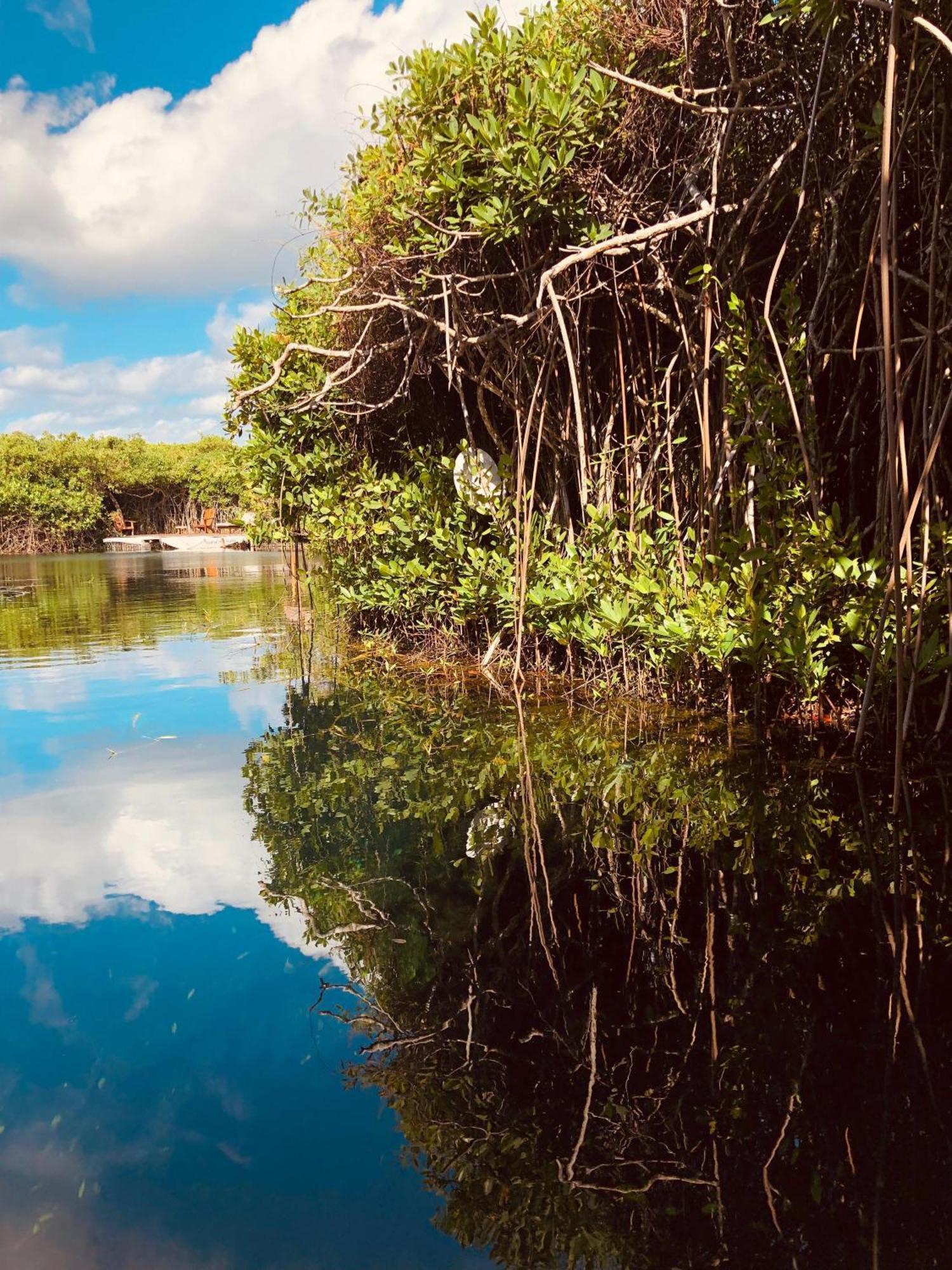 Cabanas Tulum - Aldea Mangle & Cenote Екстер'єр фото
