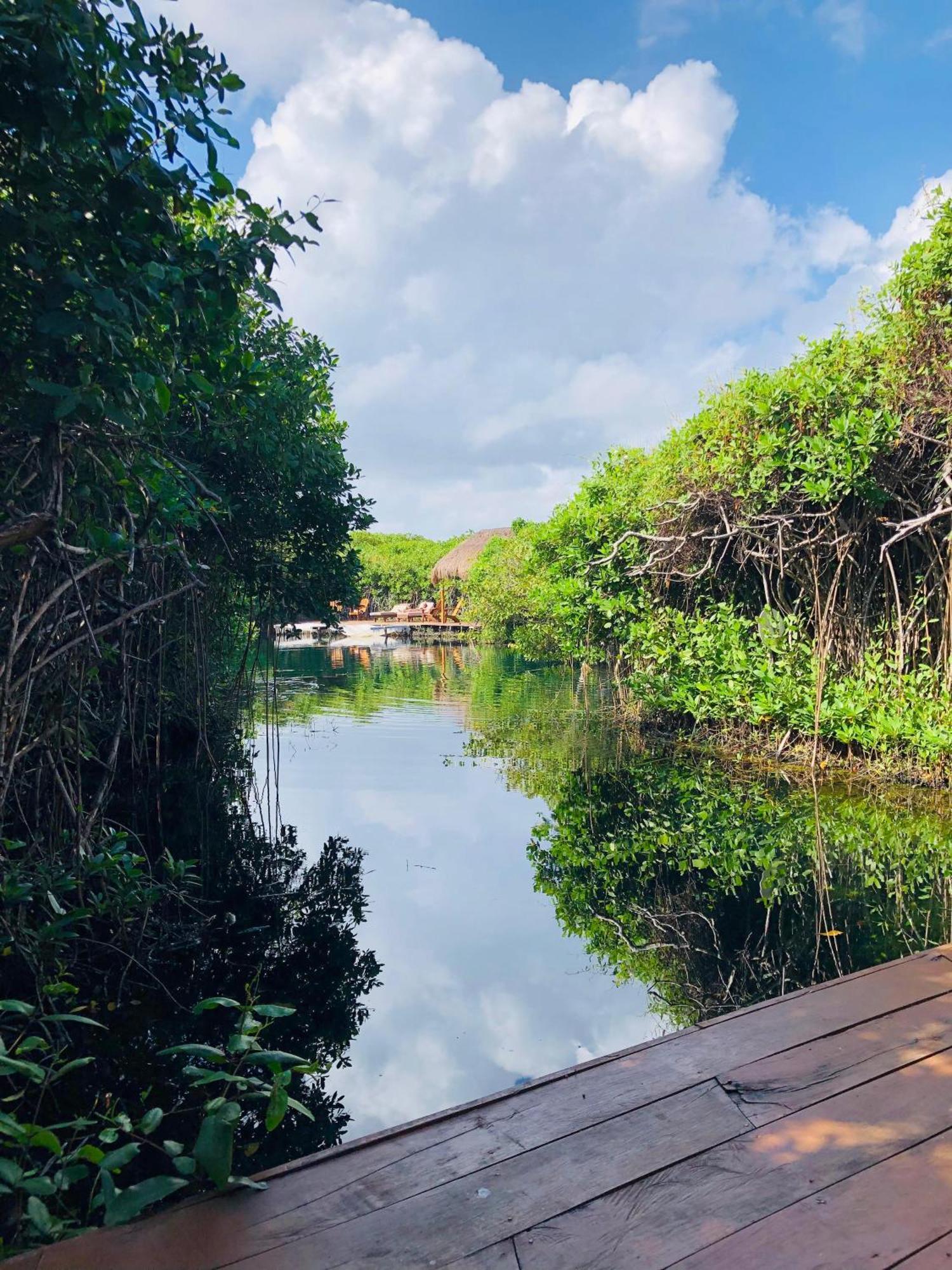 Cabanas Tulum - Aldea Mangle & Cenote Екстер'єр фото