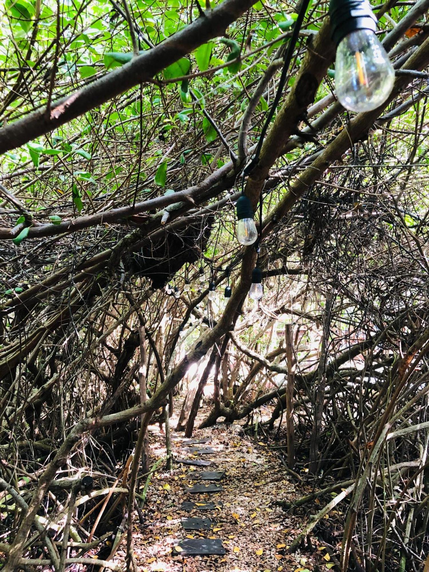 Cabanas Tulum - Aldea Mangle & Cenote Екстер'єр фото